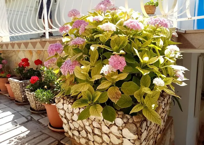 伊凡别墅酒店 3*